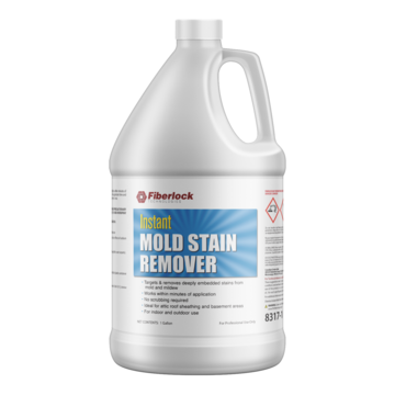 Stain Remover Instant Mold, 1 Gal, Jug, Straw, Liquid
