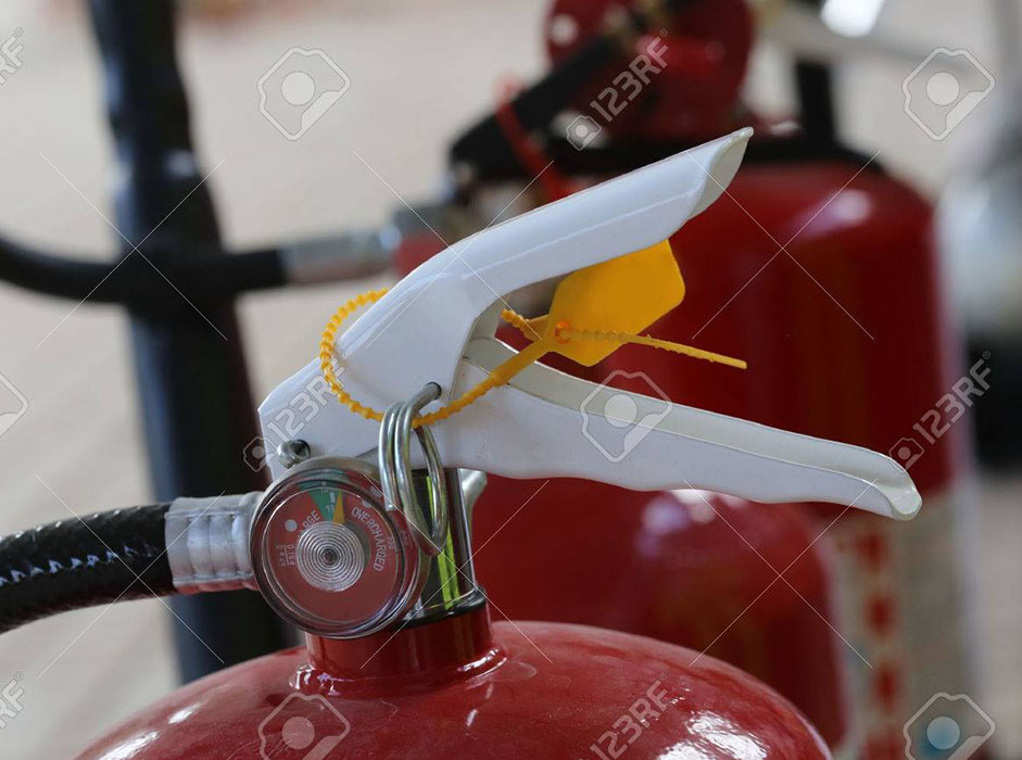 Read More Training Schedule