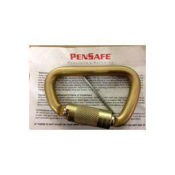 3063 2″ D-Ring  Pensafe Inc. ™