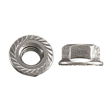 Flange Nut, Zinc Plated Hardened Carbon Steel, 3/8 in-16 x 11/32 in