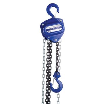 Chain Hoist 1 Ton 10 Ft Lift