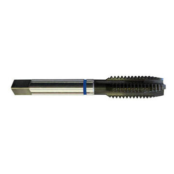 Blue Ring Spiral Point Application Pipe Tap, 1/4 in-20 NC X 2-1/2 in