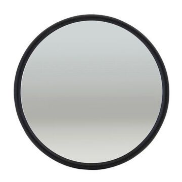 Convex Round Mirror, Stainless Steel, 46 sq. in. Reflective Area, Bracket Mount, Glass Lens, Stainless Steel Back