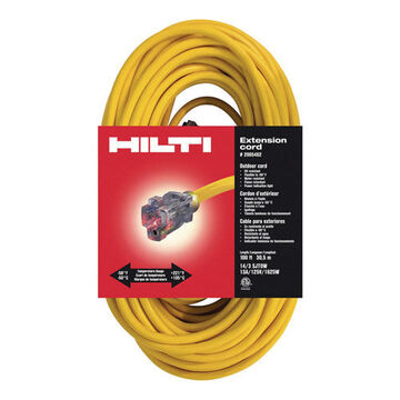 Heavy-Duty Extension Cord, 100 ft lg, 3-Conductor