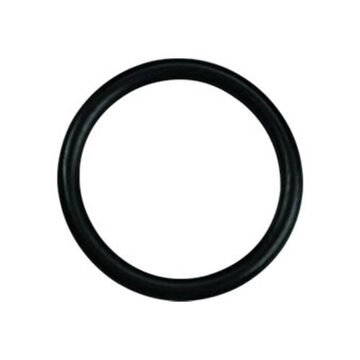 O Ring, 2 in Outside dia, Steel