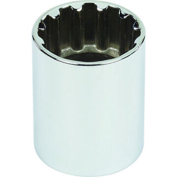 Standard Length Socket, 1/2 in Drive, Square, Spline, 7/8 in Socket