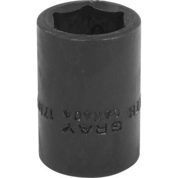 Regular Length Impact Socket, 17 mm Socket, 1/2 in Drive, 38 mm lg, Steel