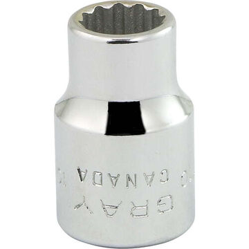 Standard Length Socket, 3/8 in Drive, Square, 12-Point, 10 mm Socket