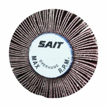 General Purpose Flap Wheel, 1 in x 1 in x 1/4 in, 120 Grit, Aluminum Oxide, 30000 rpm